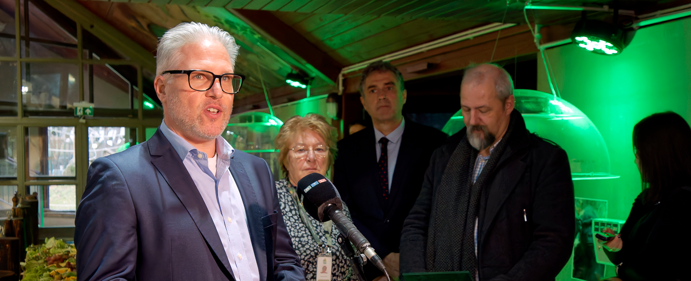 Fővárosi Állat- és Növénykert gorilla nyelvi labor